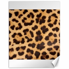 Leopard Skin 1078848 960 720 Canvas 18  x 24 