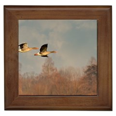 Goose 4002044 960 720 Framed Tile by vintage2030