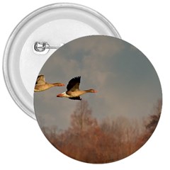 Goose 4002044 960 720 3  Buttons by vintage2030