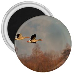 Goose 4002044 960 720 3  Magnets by vintage2030