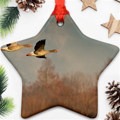 Goose 4002044 960 720 Ornament (star) by vintage2030