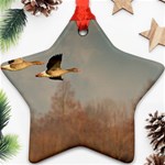 Goose 4002044 960 720 Ornament (Star) Front