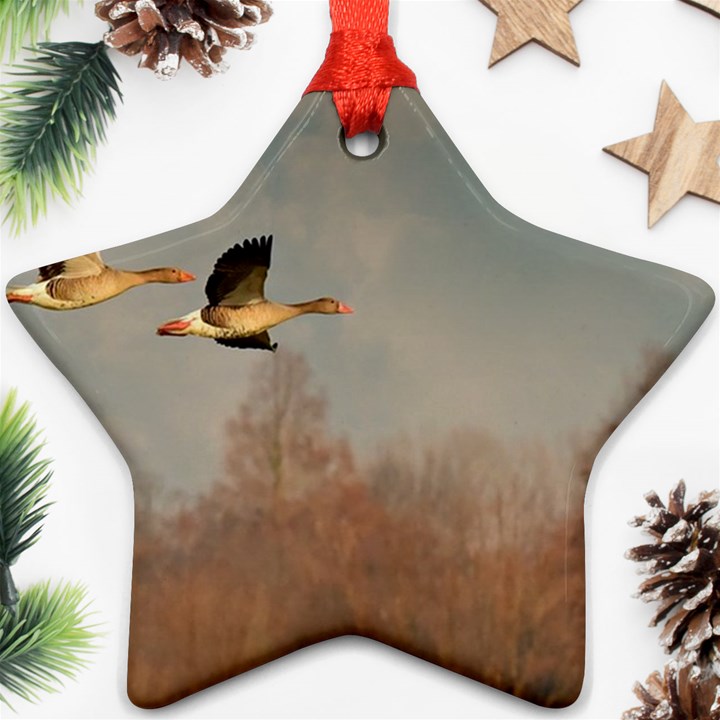 Goose 4002044 960 720 Ornament (Star)