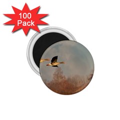 Goose 4002044 960 720 1 75  Magnets (100 Pack)  by vintage2030