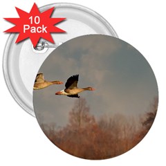 Goose 4002044 960 720 3  Buttons (10 Pack)  by vintage2030