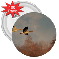 Goose 4002044 960 720 3  Buttons (100 Pack)  by vintage2030