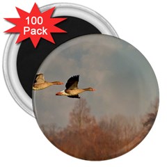 Goose 4002044 960 720 3  Magnets (100 Pack) by vintage2030