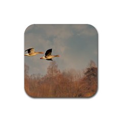 Goose 4002044 960 720 Rubber Coaster (square)  by vintage2030