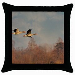 Goose 4002044 960 720 Throw Pillow Case (black) by vintage2030