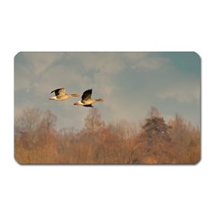 Goose 4002044 960 720 Magnet (rectangular) by vintage2030