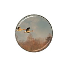 Goose 4002044 960 720 Hat Clip Ball Marker by vintage2030