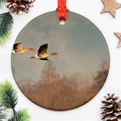 Goose 4002044 960 720 Round Ornament (two Sides) by vintage2030