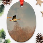 Goose 4002044 960 720 Oval Ornament (Two Sides) Front