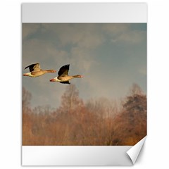 Goose 4002044 960 720 Canvas 12  X 16  by vintage2030