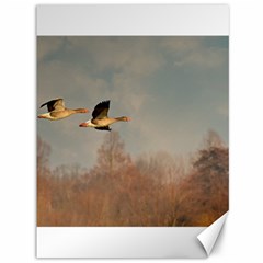 Goose 4002044 960 720 Canvas 36  X 48  by vintage2030