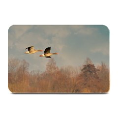 Goose 4002044 960 720 Plate Mats by vintage2030