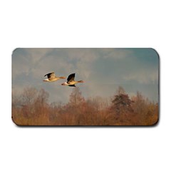 Goose 4002044 960 720 Medium Bar Mats by vintage2030