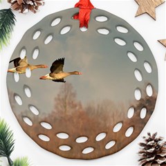 Goose 4002044 960 720 Ornament (round Filigree) by vintage2030