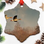 Goose 4002044 960 720 Ornament (Snowflake) Front