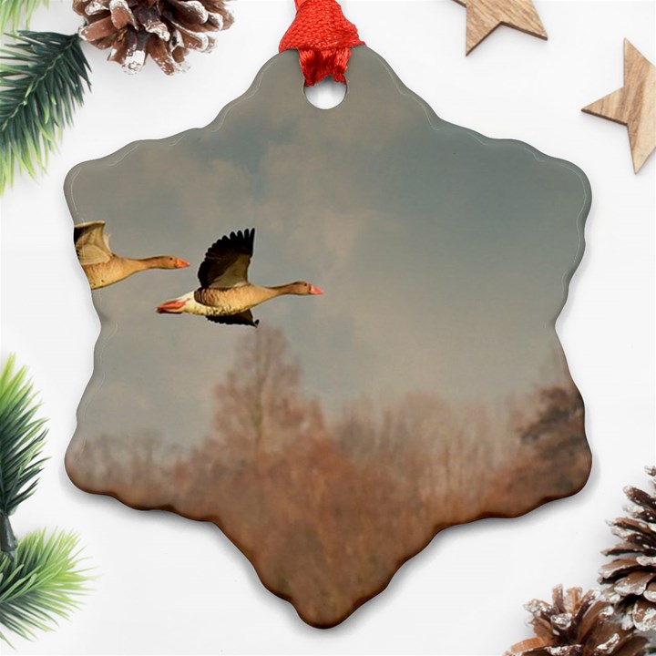 Goose 4002044 960 720 Ornament (Snowflake)