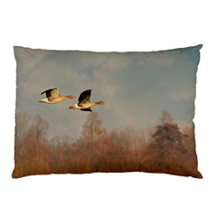 Goose 4002044 960 720 Pillow Case (two Sides) by vintage2030