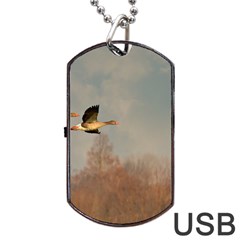 Goose 4002044 960 720 Dog Tag Usb Flash (two Sides) by vintage2030