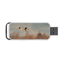 Goose 4002044 960 720 Portable Usb Flash (two Sides) by vintage2030