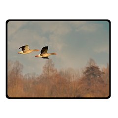 Goose 4002044 960 720 Double Sided Fleece Blanket (small)  by vintage2030