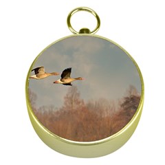 Goose 4002044 960 720 Gold Compasses by vintage2030