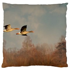 Goose 4002044 960 720 Large Flano Cushion Case (one Side) by vintage2030