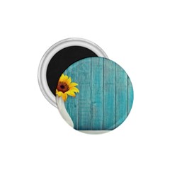 Sun Flower 3292932 960 720 1.75  Magnets