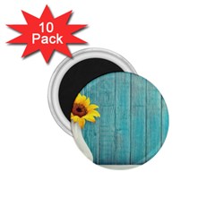 Sun Flower 3292932 960 720 1.75  Magnets (10 pack) 