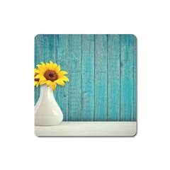 Sun Flower 3292932 960 720 Square Magnet by vintage2030