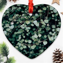 Plant 690078 960 720 Heart Ornament (two Sides)