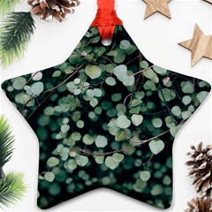 Plant 690078 960 720 Star Ornament (two Sides)