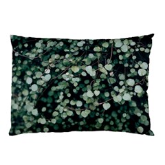 Plant 690078 960 720 Pillow Case by vintage2030