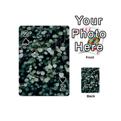 Plant 690078 960 720 Playing Cards 54 Designs (mini)