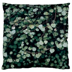 Plant 690078 960 720 Large Flano Cushion Case (two Sides) by vintage2030