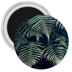 Nature 605506 960 720 3  Magnets by vintage2030