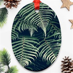 Nature 605506 960 720 Ornament (oval)