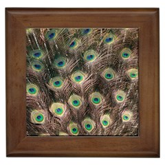 Bird 4099645 960 720 Framed Tile by vintage2030