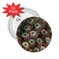 Bird 4099645 960 720 2.25  Buttons (10 pack) 