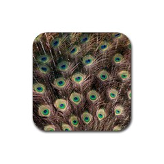 Bird 4099645 960 720 Rubber Coaster (square)  by vintage2030