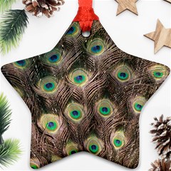 Bird 4099645 960 720 Star Ornament (two Sides)