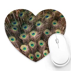 Bird 4099645 960 720 Heart Mousepads