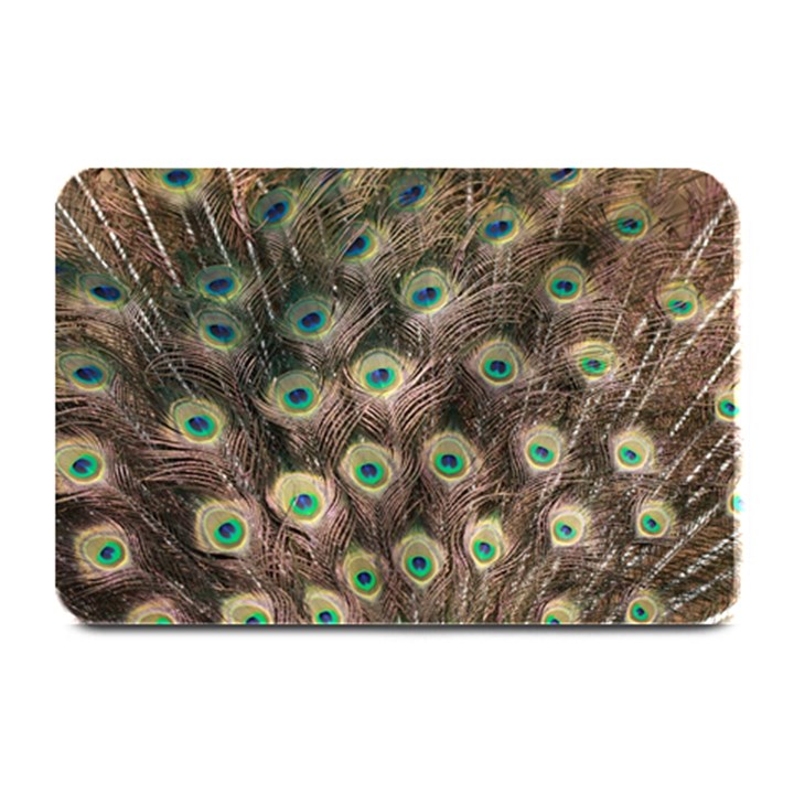 Bird 4099645 960 720 Plate Mats