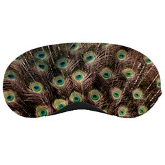 Bird 4099645 960 720 Sleeping Mask by vintage2030