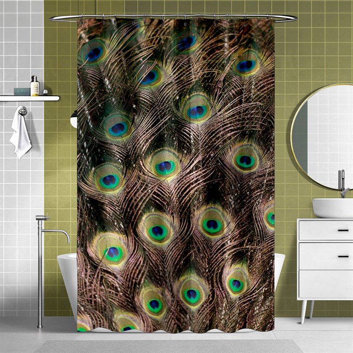 Bird 4099645 960 720 Shower Curtain 48  x 72  (Small) 