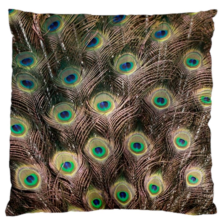 Bird 4099645 960 720 Large Cushion Case (Two Sides)