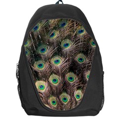 Bird 4099645 960 720 Backpack Bag